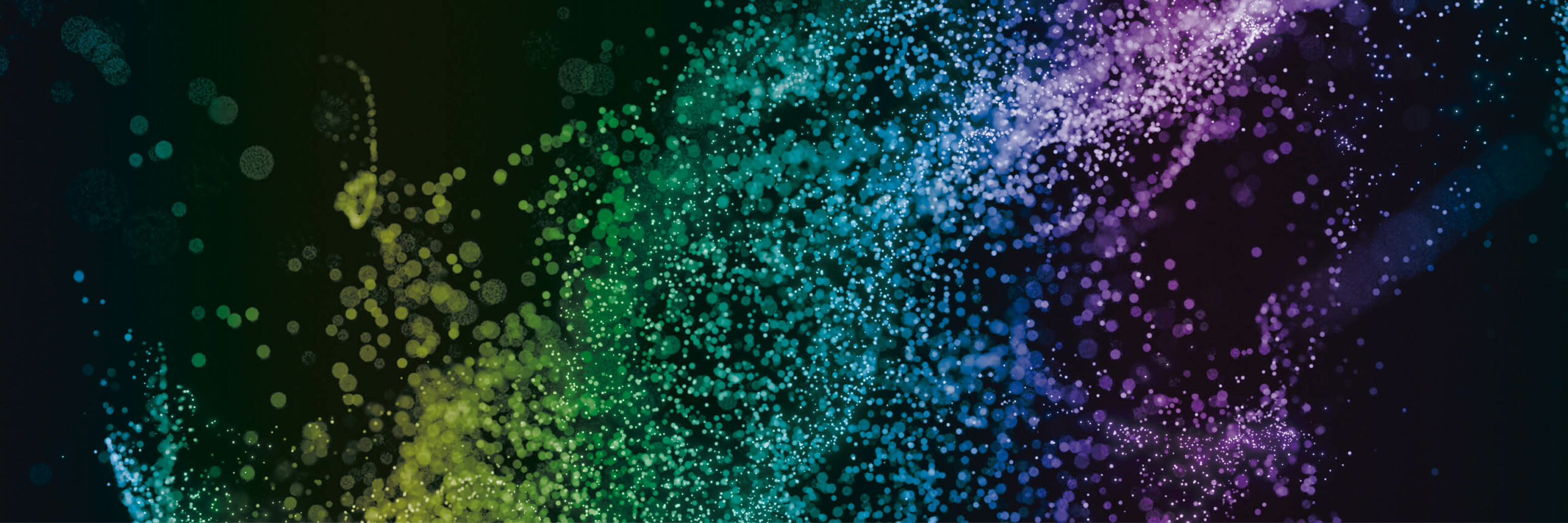 ENKORE web banner scaled jpg