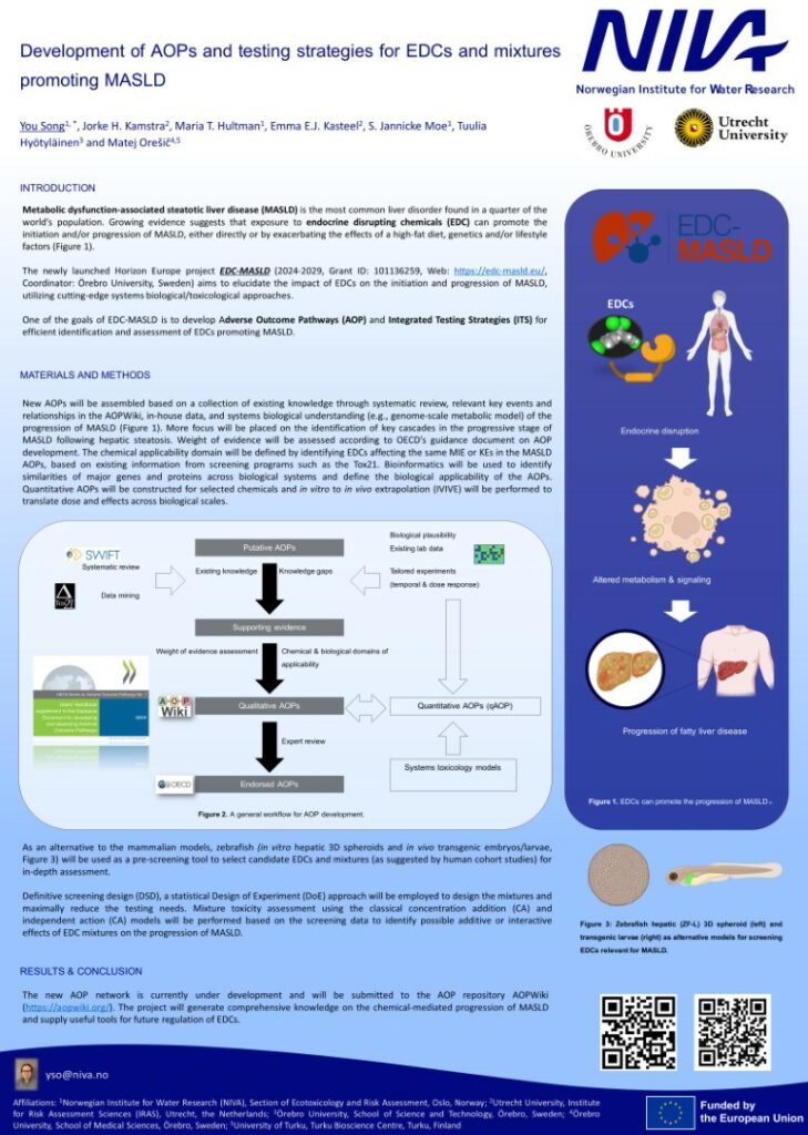 SETAC2024 EDC MASLD Poster