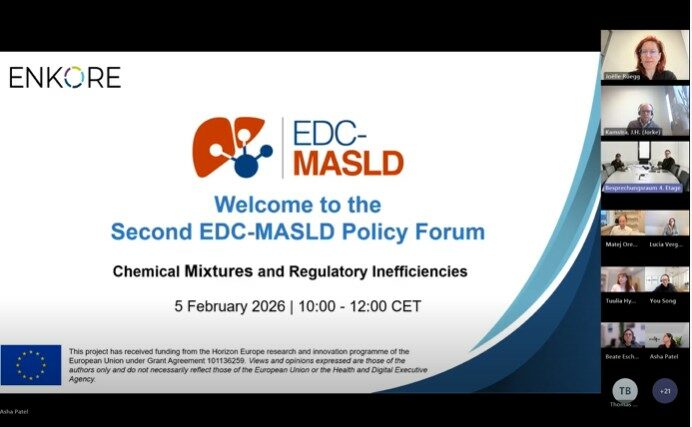 Screenshot 2026 03 06 161353